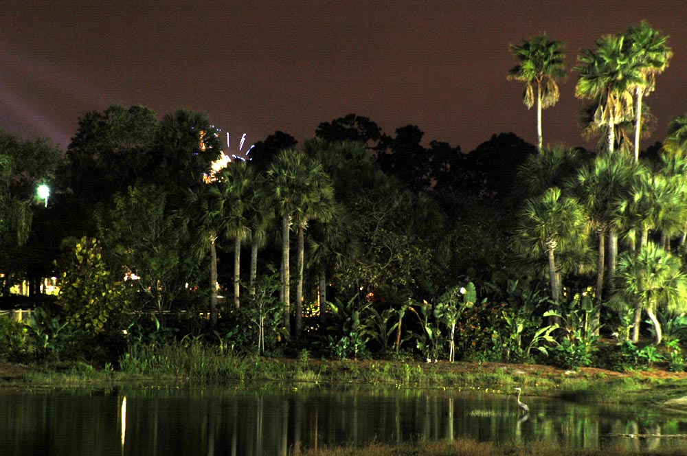 Illuminations 3